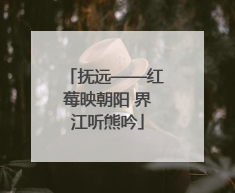 抚远——红莓映朝阳 界江听熊吟
