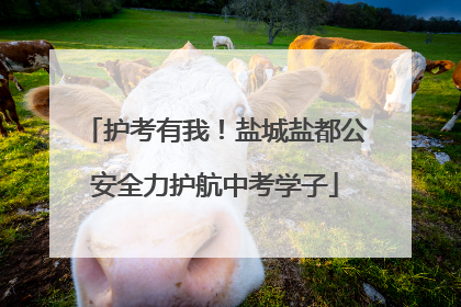 护考有我！盐城盐都公安全力护航中考学子