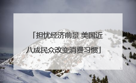 担忧经济前景 美国近八成民众改变消费习惯
