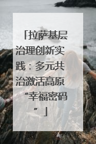 拉萨基层治理创新实践：多元共治激活高原“幸福密码”