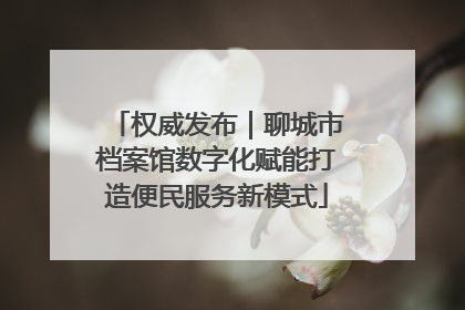 权威发布｜聊城市档案馆数字化赋能打造便民服务新模式