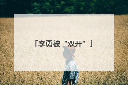 李勇被“双开”