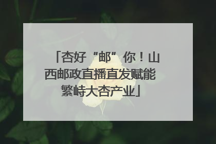 杏好“邮”你！山西邮政直播直发赋能繁峙大杏产业