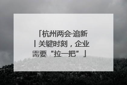 杭州两会·追新丨关键时刻，企业需要“拉一把”