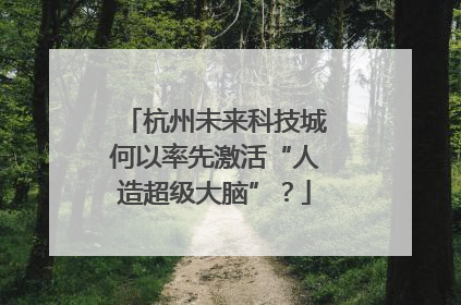 杭州未来科技城何以率先激活“人造超级大脑”？