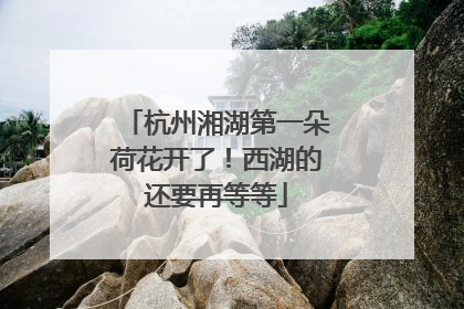 杭州湘湖第一朵荷花开了！西湖的还要再等等