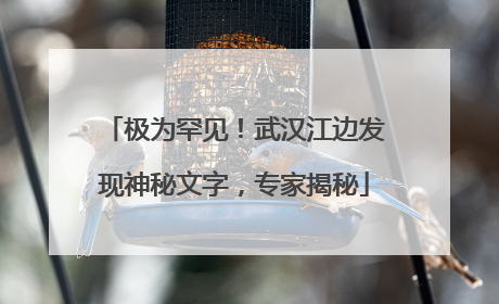 极为罕见！武汉江边发现神秘文字，专家揭秘