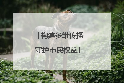 构建多维传播 守护市民权益