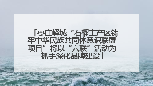 枣庄峄城“石榴主产区铸牢中华民族共同体意识联盟项目”将以“六联”活动为抓手深化品牌建设