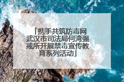 携手共筑防毒网 武汉市司法局何湾强戒所开展禁毒宣传教育系列活动