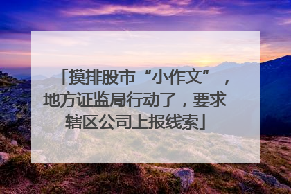 摸排股市“小作文”，地方证监局行动了，要求辖区公司上报线索