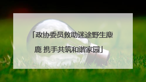 政协委员救助迷途野生麋鹿 携手共筑和谐家园