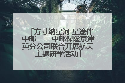 方寸纳星河 星途伴中邮——中邮保险京津冀分公司联合开展航天主题研学活动