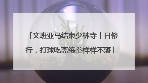 文班亚马结束少林寺十日修行，打球吃斋练拳样样不落