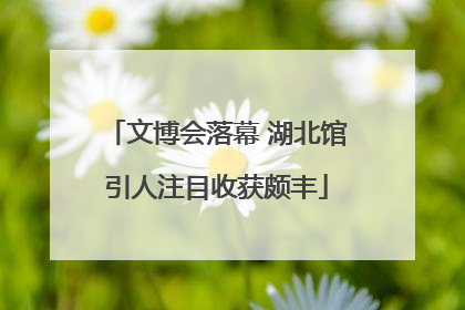 文博会落幕 湖北馆引人注目收获颇丰