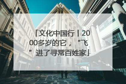 文化中国行丨2000多岁的它，“飞”进了寻常百姓家