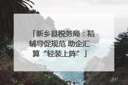 新乡县税务局：精辅导促规范 助企汇算“轻装上阵”
