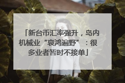新台币汇率强升，岛内机械业“哀鸿遍野”：很多业者暂时不接单