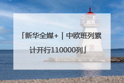 新华全媒+｜中欧班列累计开行110000列