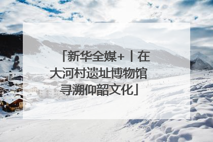 新华全媒+丨在大河村遗址博物馆寻溯仰韶文化
