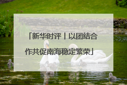 新华时评丨以团结合作共促南海稳定繁荣