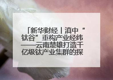 新华财经丨滇中“钛谷”重构产业经纬——云南楚雄打造千亿级钛产业集群的探索与实践