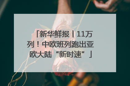 新华鲜报丨11万列！中欧班列跑出亚欧大陆“新时速”