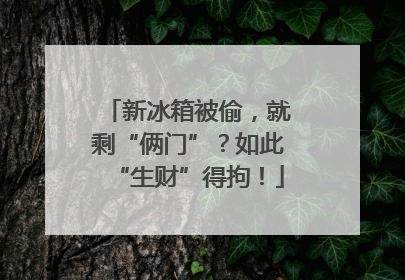 新冰箱被偷，就剩“俩门”？如此“生财”得拘！