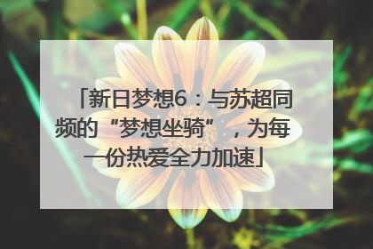 新日梦想6：与苏超同频的“梦想坐骑”，为每一份热爱全力加速