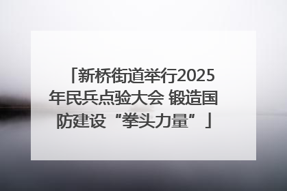 新桥街道举行2025年民兵点验大会 锻造国防建设“拳头力量”
