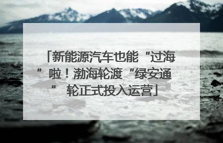 新能源汽车也能“过海”啦！渤海轮渡“绿安通” 轮正式投入运营