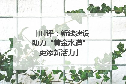 时评：新线建设助力“黄金水道”更添新活力