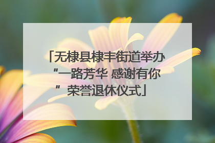 无棣县棣丰街道举办“一路芳华 感谢有你”荣誉退休仪式