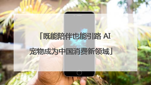 既能陪伴也能引路 AI宠物成为中国消费新领域