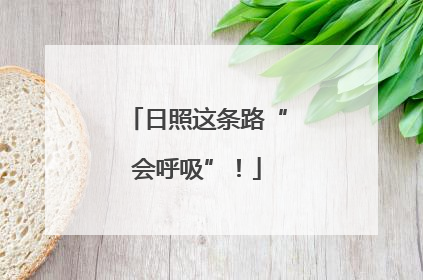 日照这条路“会呼吸”！