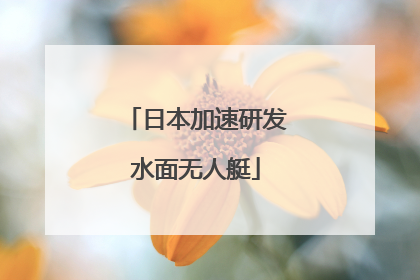 日本加速研发水面无人艇