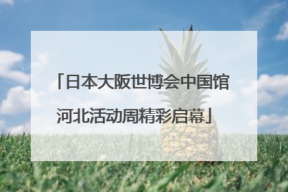 日本大阪世博会中国馆河北活动周精彩启幕