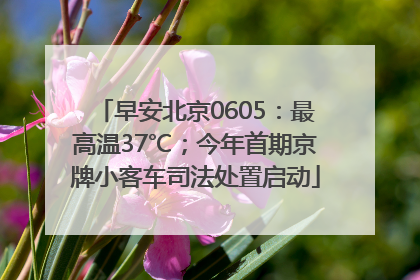 早安北京0605：最高温37℃；今年首期京牌小客车司法处置启动
