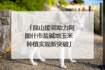 昆山援疆助力阿图什市盐碱地玉米种植实现新突破