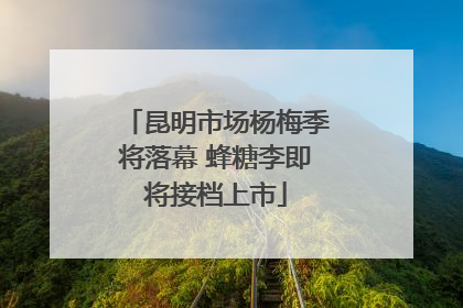 昆明市场杨梅季将落幕 蜂糖李即将接档上市