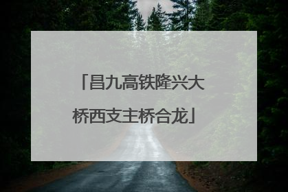 昌九高铁隆兴大桥西支主桥合龙
