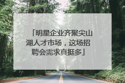 明星企业齐聚尖山湖人才市场，这场招聘会需求真挺多