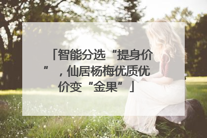 智能分选“提身价”，仙居杨梅优质优价变“金果”