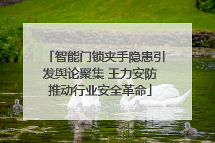 智能门锁夹手隐患引发舆论聚集 王力安防推动行业安全革命