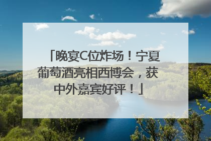 晚宴C位炸场！宁夏葡萄酒亮相西博会，获中外嘉宾好评！