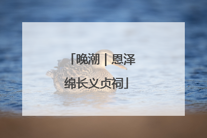 晚潮｜恩泽绵长义贞祠