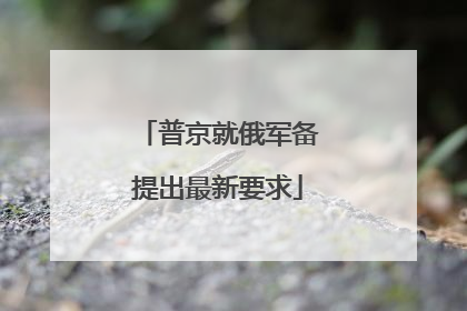 普京就俄军备提出最新要求