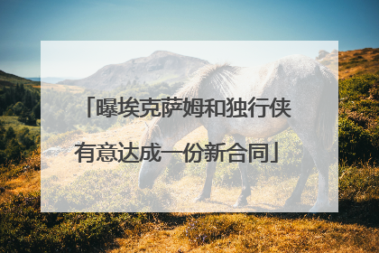 曝埃克萨姆和独行侠有意达成一份新合同