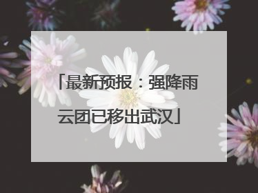 最新预报：强降雨云团已移出武汉