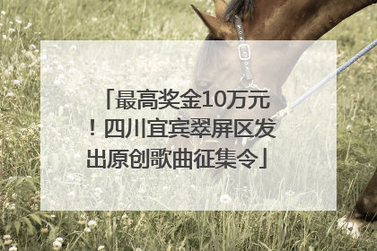 最高奖金10万元！四川宜宾翠屏区发出原创歌曲征集令
